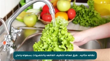 نظافة مثالية.. طرق فعالة لتنظيف الفاكهة والخضروات بسهولة وأمان
